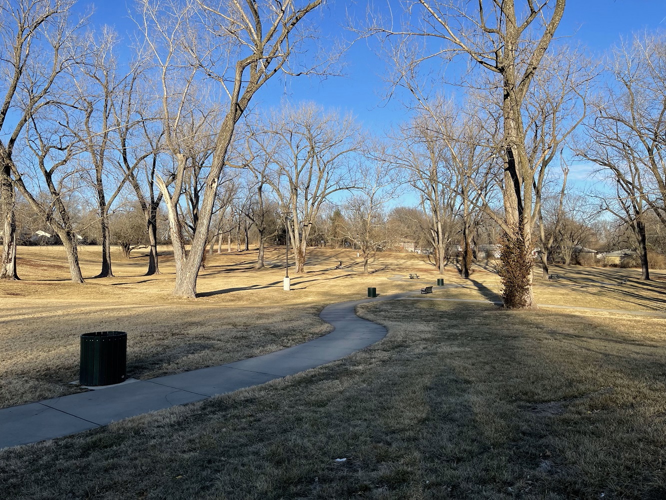 Walking trail in park